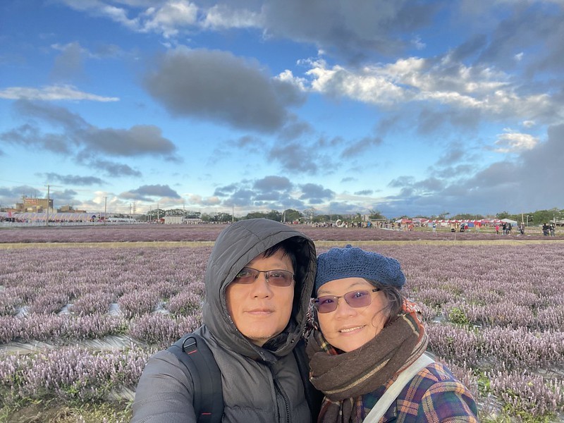 【台灣，桃園市，楊梅區】「2020桃園仙草花節」夢幻來襲！不能出國的偽南法小旅行。（2020/12/06花況，含交通接駁）