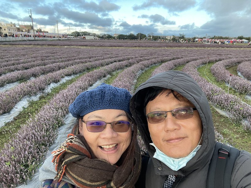 【台灣，桃園市，楊梅區】「2020桃園仙草花節」夢幻來襲！不能出國的偽南法小旅行。（2020/12/06花況，含交通接駁）