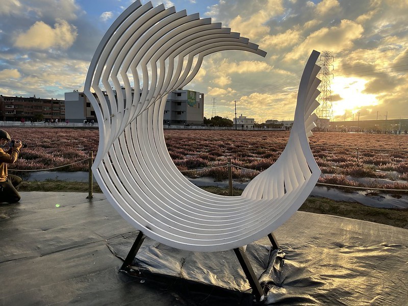 【台灣，桃園市，楊梅區】「2020桃園仙草花節」夢幻來襲！不能出國的偽南法小旅行。（2020/12/06花況，含交通接駁）