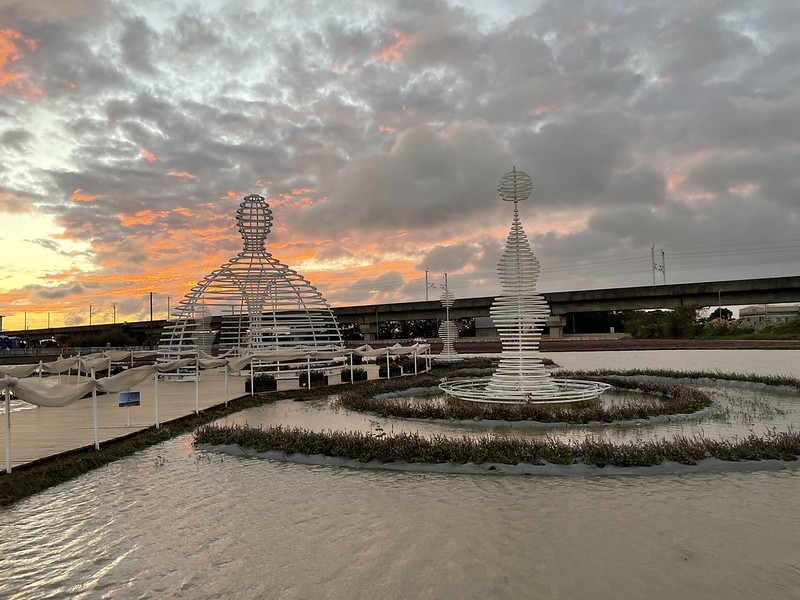 【台灣，桃園市，楊梅區】「2020桃園仙草花節」夢幻來襲！不能出國的偽南法小旅行。（2020/12/06花況，含交通接駁）