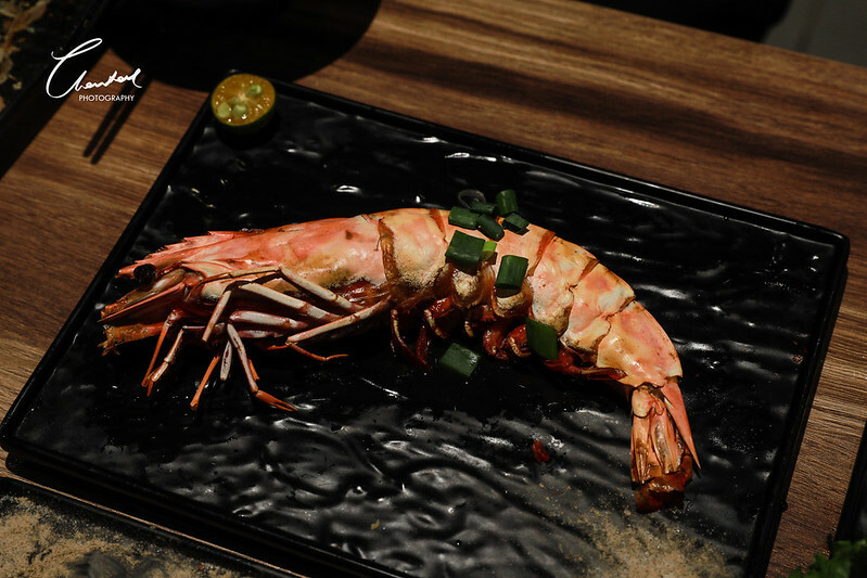 1J6A1802-2拷貝 1J6A1802-2拷貝