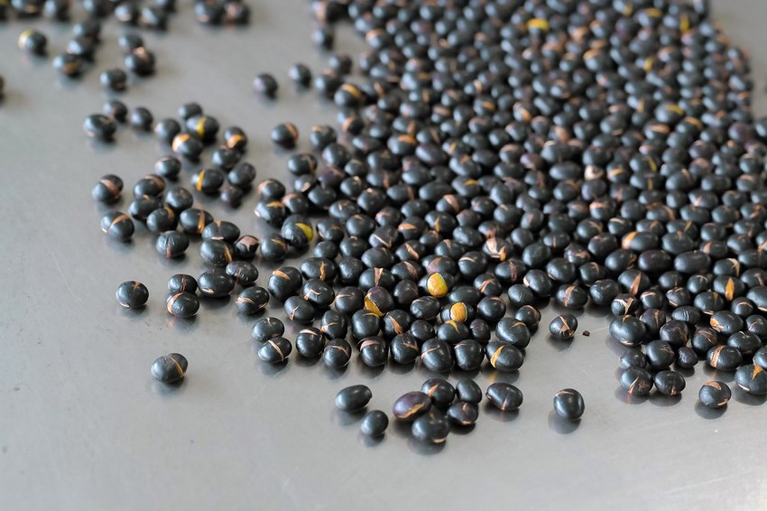 SelfieCity_20201115012214_org