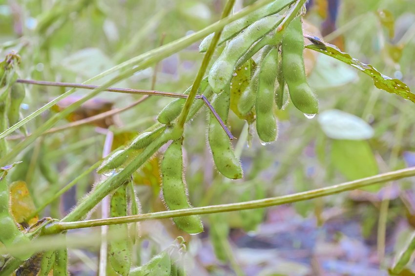 SelfieCity_20201115011658_org