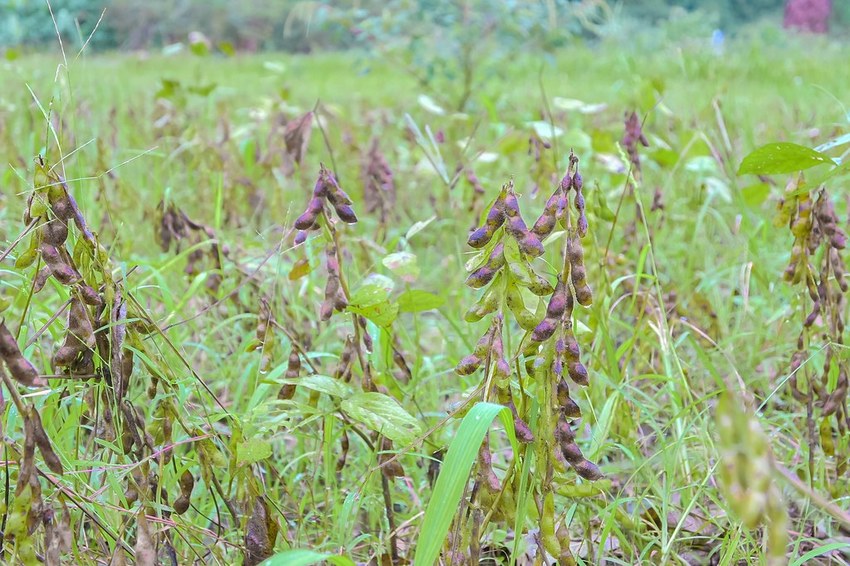 SelfieCity_20201115011159_org