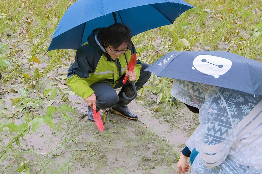 SelfieCity_20201115011216_org