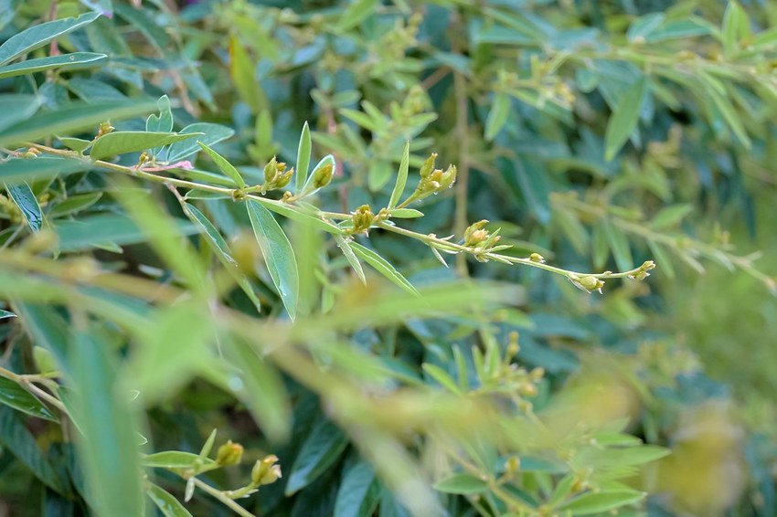 SelfieCity_20201115012532_org