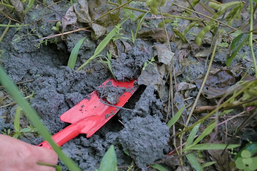 SelfieCity_20201115012141_org