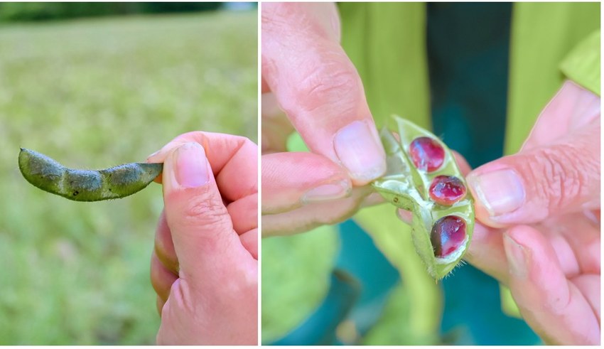 20-11-15-02-08-44-554_deco-01