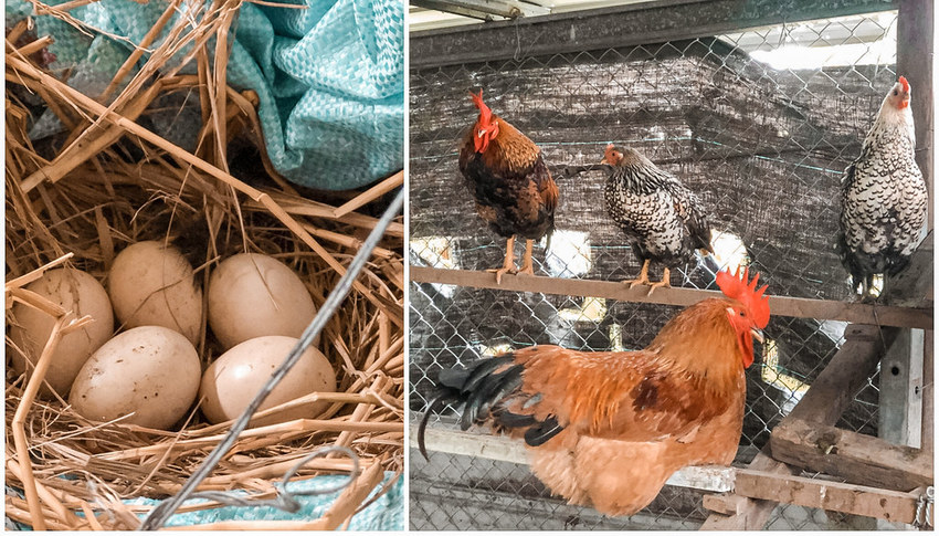 20-11-15-02-15-51-531_deco-01