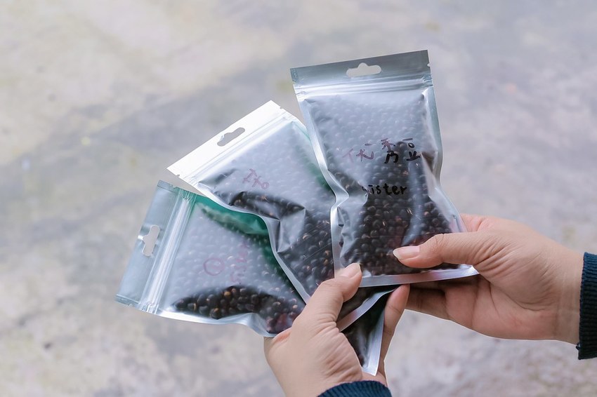 SelfieCity_20201115011531_org