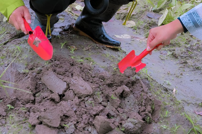 SelfieCity_20201115011857_org