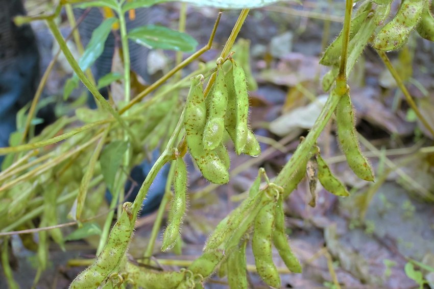 SelfieCity_20201115011723_org