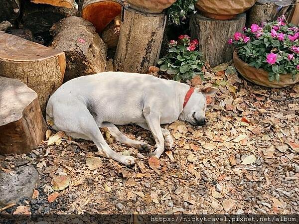 208772169_366652734790709_5232348853401549886_n 208772169_366652734790709_5232348853401549886_n