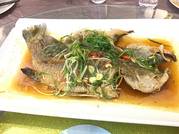 嘉義美食-船老大囍宴餐廳 -豪華.熱鬧、美味.新鮮