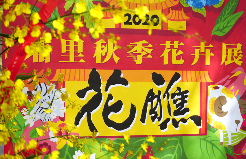 埔里一日遊|120週年埔里清醮,埔里秋季花卉展,景點美食一次攻略分享給你！