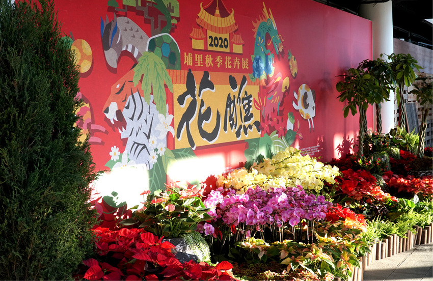 埔里一日遊|120週年埔里清醮,埔里秋季花卉展,景點美食一次攻略分享給你！