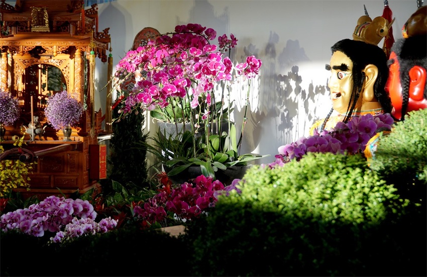 埔里一日遊|120週年埔里清醮,埔里秋季花卉展,景點美食一次攻略分享給你！