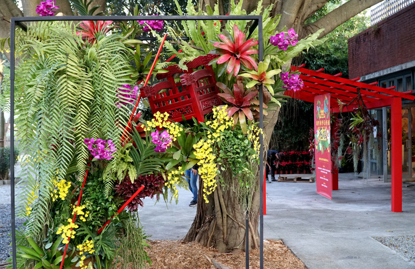 埔里一日遊|120週年埔里清醮,埔里秋季花卉展,景點美食一次攻略分享給你！