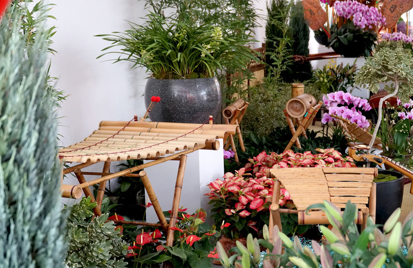 埔里一日遊|120週年埔里清醮,埔里秋季花卉展,景點美食一次攻略分享給你！