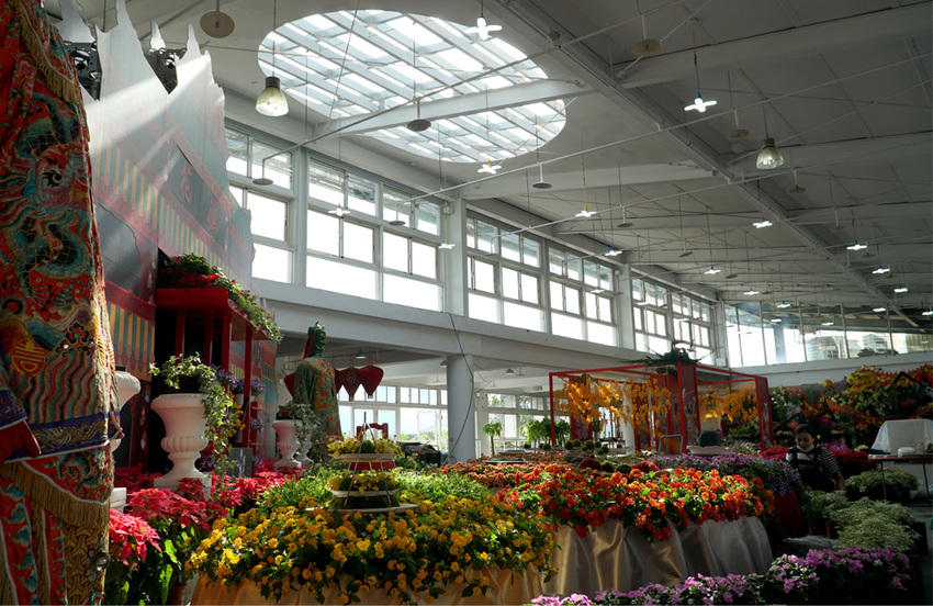 埔里一日遊|120週年埔里清醮,埔里秋季花卉展,景點美食一次攻略分享給你！