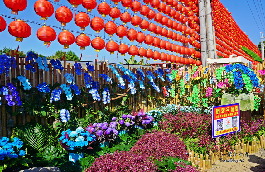 埔里一日遊|120週年埔里清醮,埔里秋季花卉展,景點美食一次攻略分享給你！