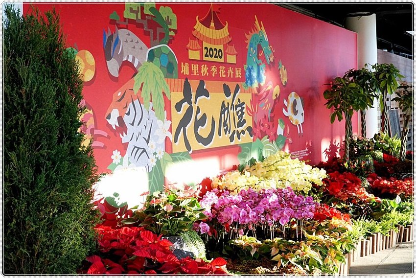 號外！號外！12年1次盛事！南投埔里建醮大典+埔里花卉秋季展強勢登場，花藝結合建醮保證驚艷，錯過再等12年！