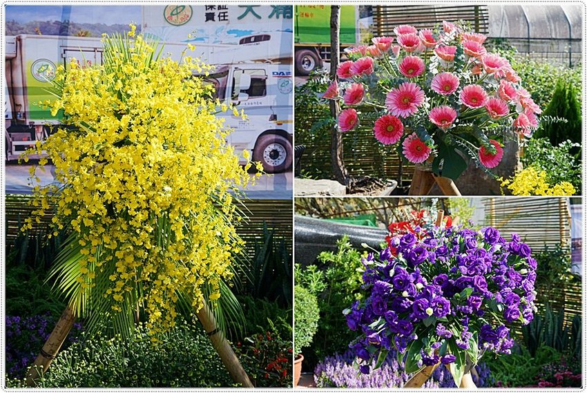 號外！號外！12年1次盛事！南投埔里建醮大典+埔里花卉秋季展強勢登場，花藝結合建醮保證驚艷，錯過再等12年！