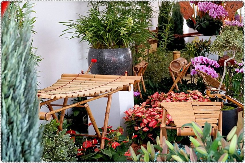 號外！號外！12年1次盛事！南投埔里建醮大典+埔里花卉秋季展強勢登場，花藝結合建醮保證驚艷，錯過再等12年！