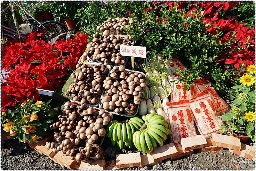 號外！號外！12年1次盛事！南投埔里建醮大典+埔里花卉秋季展強勢登場，花藝結合建醮保證驚艷，錯過再等12年！