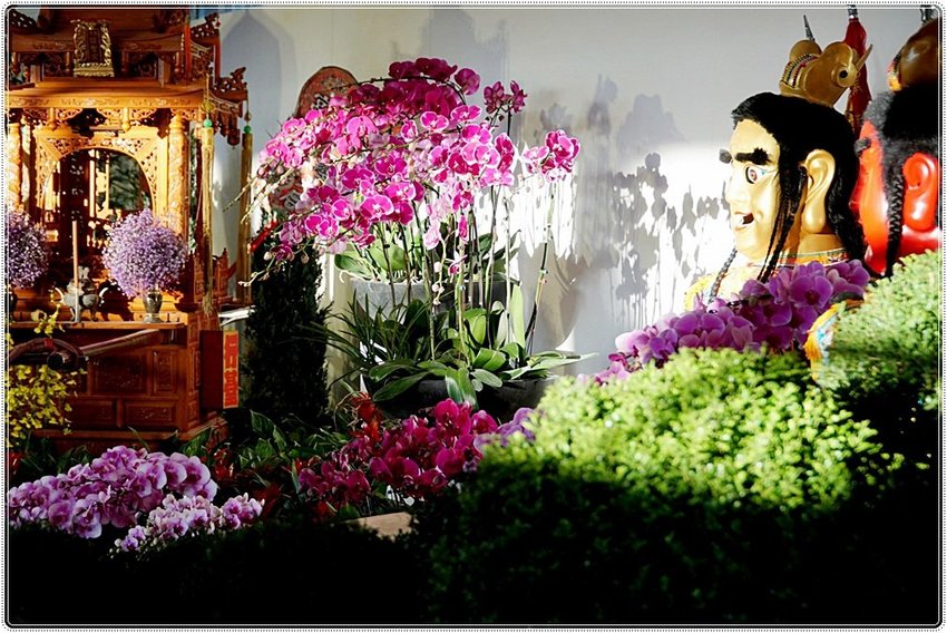 號外！號外！12年1次盛事！南投埔里建醮大典+埔里花卉秋季展強勢登場，花藝結合建醮保證驚艷，錯過再等12年！