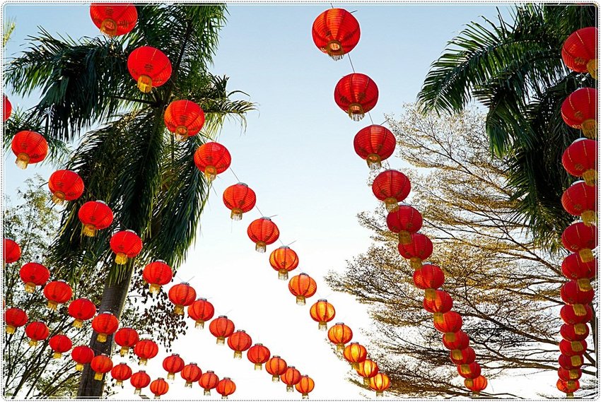 號外！號外！12年1次盛事！南投埔里建醮大典+埔里花卉秋季展強勢登場，花藝結合建醮保證驚艷，錯過再等12年！