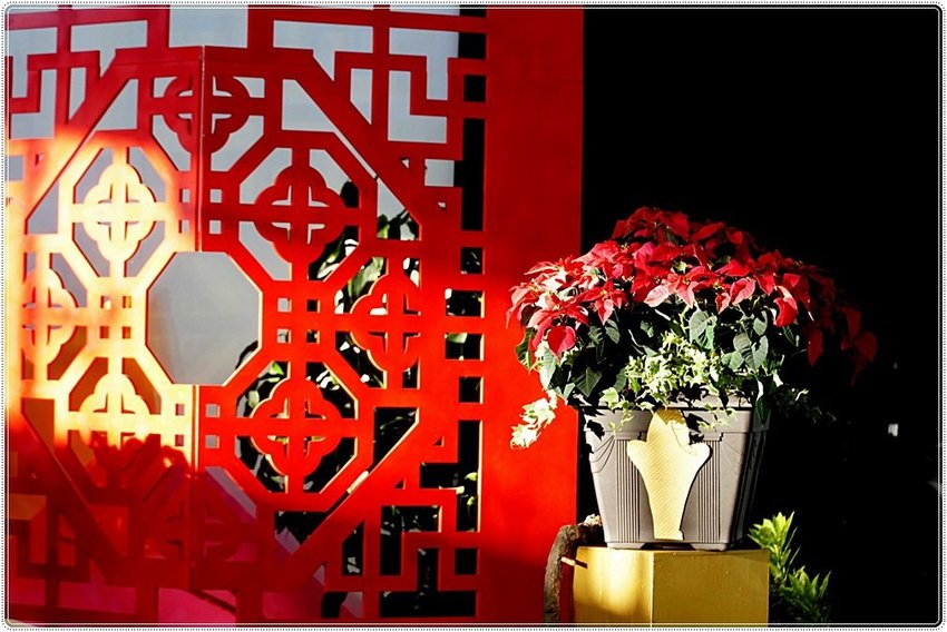 號外！號外！12年1次盛事！南投埔里建醮大典+埔里花卉秋季展強勢登場，花藝結合建醮保證驚艷，錯過再等12年！