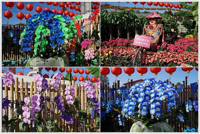 號外！號外！12年1次盛事！南投埔里建醮大典+埔里花卉秋季展強勢登場，花藝結合建醮保證驚艷，錯過再等12年！