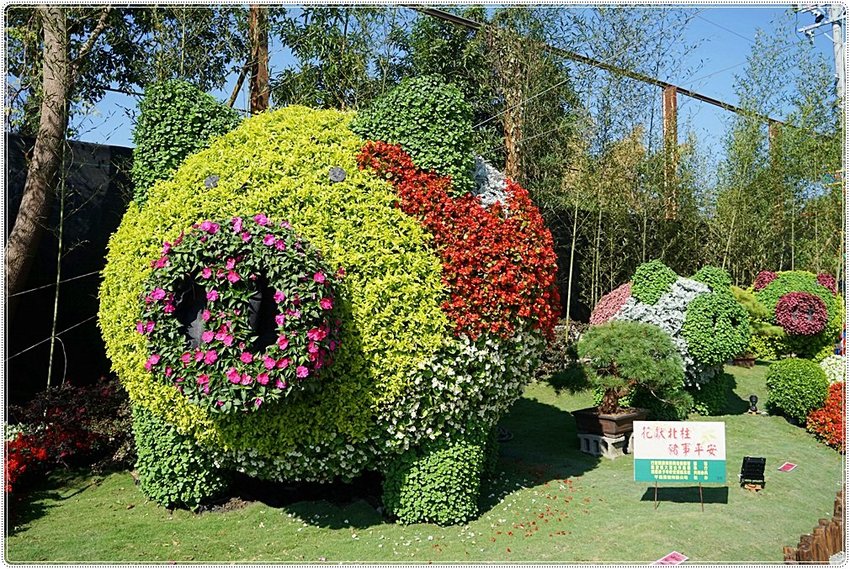 號外！號外！12年1次盛事！南投埔里建醮大典+埔里花卉秋季展強勢登場，花藝結合建醮保證驚艷，錯過再等12年！