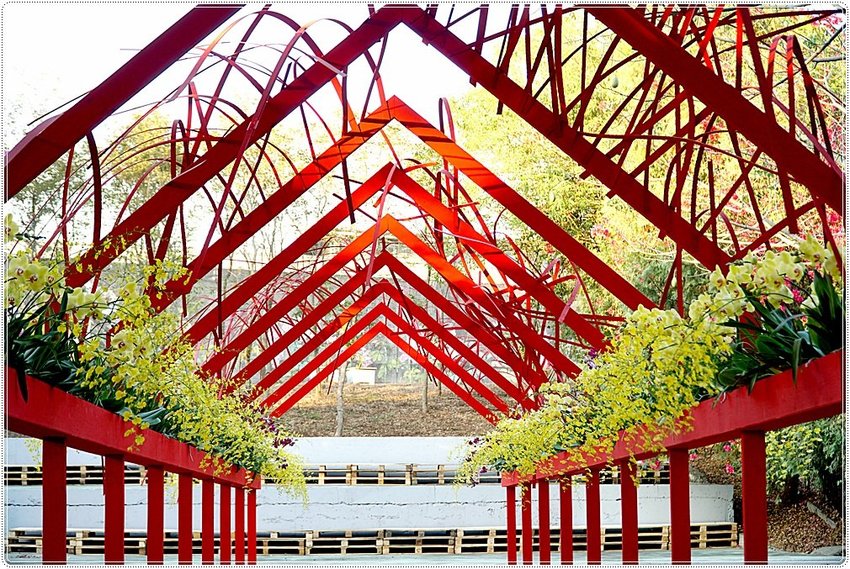 號外！號外！12年1次盛事！南投埔里建醮大典+埔里花卉秋季展強勢登場，花藝結合建醮保證驚艷，錯過再等12年！