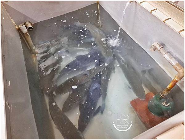 賓帥活魚湘菜餐廳 (29).jpg