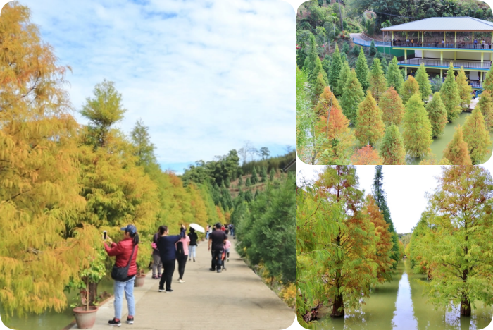 苗栗景點⎪一日遊二日遊推薦。親子同遊、情侶約會、IG美拍,時刻旅遊都新鮮! @捲捲頭 Wonderful 品味。生活 苗栗景點⎪一日遊二日遊推薦。親子同遊、情侶約會、IG美拍,時刻旅遊都新鮮! @捲捲頭 Wonderful 品味。生活