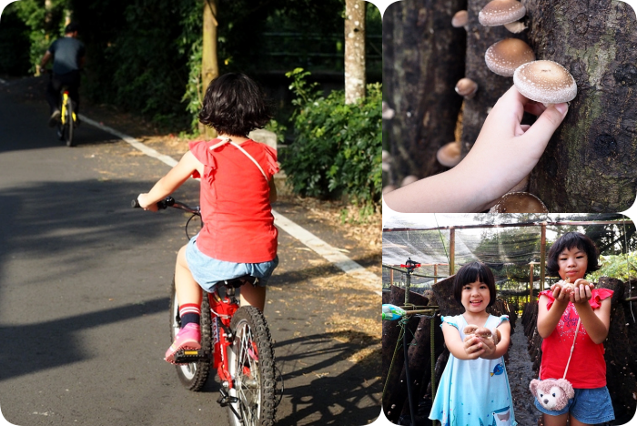 新竹景點⎪一日遊二日遊推薦。戶外踏青、約會景點、親子同遊還有鐵馬踩風行! @捲捲頭 Wonderful 品味。生活 新竹景點⎪一日遊二日遊推薦。戶外踏青、約會景點、親子同遊還有鐵馬踩風行! @捲捲頭 Wonderful 品味。生活