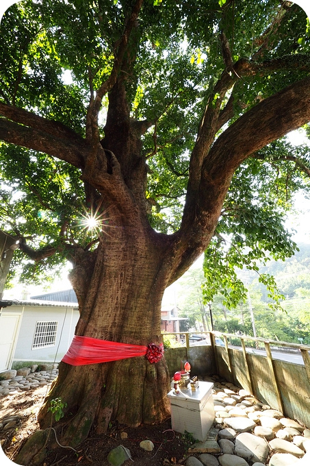 新竹景點⎪一日遊二日遊推薦。戶外踏青、約會景點、親子同遊還有鐵馬踩風行! @捲捲頭 Wonderful 品味。生活 新竹景點⎪一日遊二日遊推薦。戶外踏青、約會景點、親子同遊還有鐵馬踩風行! @捲捲頭 Wonderful 品味。生活