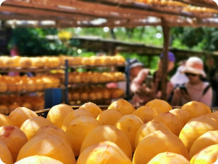 新竹景點⎪一日遊二日遊推薦。戶外踏青、約會景點、親子同遊還有鐵馬踩風行! @捲捲頭 Wonderful 品味。生活 新竹景點⎪一日遊二日遊推薦。戶外踏青、約會景點、親子同遊還有鐵馬踩風行! @捲捲頭 Wonderful 品味。生活