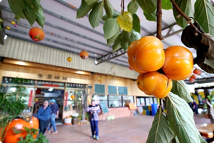 新竹景點⎪一日遊二日遊推薦。戶外踏青、約會景點、親子同遊還有鐵馬踩風行! @捲捲頭 Wonderful 品味。生活 新竹景點⎪一日遊二日遊推薦。戶外踏青、約會景點、親子同遊還有鐵馬踩風行! @捲捲頭 Wonderful 品味。生活