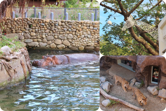 新竹景點⎪一日遊二日遊推薦。戶外踏青、約會景點、親子同遊還有鐵馬踩風行! @捲捲頭 Wonderful 品味。生活 新竹景點⎪一日遊二日遊推薦。戶外踏青、約會景點、親子同遊還有鐵馬踩風行! @捲捲頭 Wonderful 品味。生活