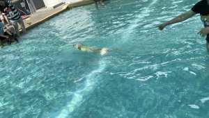 幻覺博物館 │台中景點。親子/寵物│奇妙的視覺魔法之旅 - 丹尼的吃喝玩樂