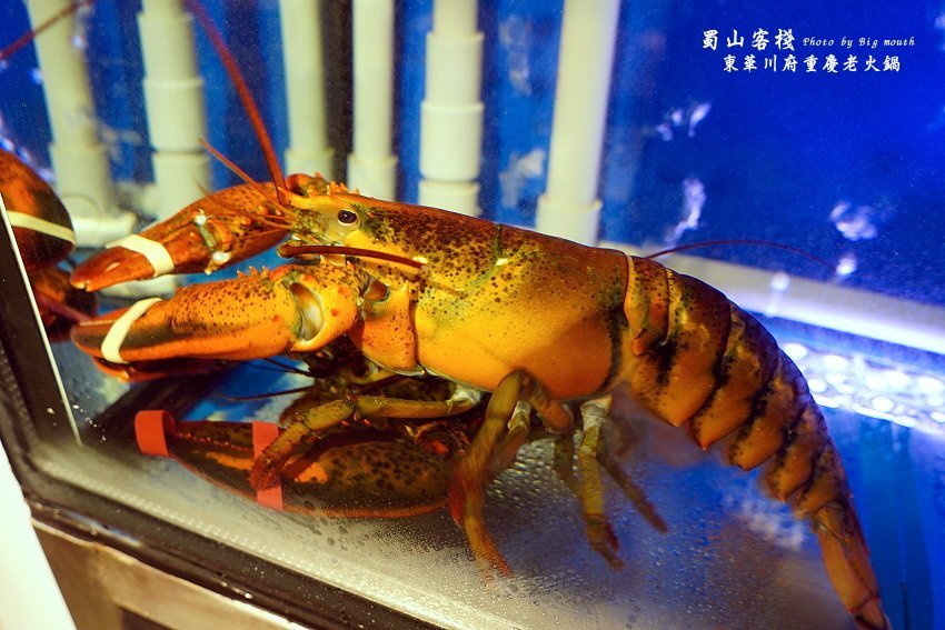 【台北美食】蜀山客棧-東華川府重慶老火鍋.50盎司肉山多多霸氣又好吃!