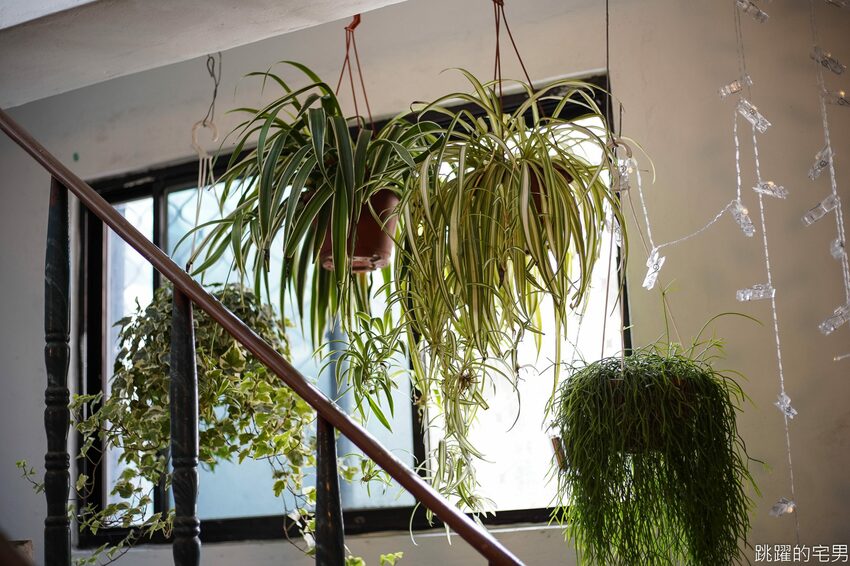 花蓮50年老屋咖啡廳擺滿懷舊古物 2樓風格超清新 雨田一二樓 真心好拍 文青必點日式布丁 蘋果派 手沖咖啡