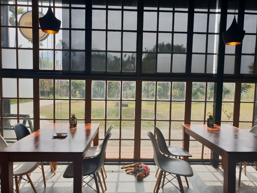 225206.jpg - 【南投.國姓鄉】山間良物咖啡館在地咖啡豆。友善寵物咖啡廳。自種水果入甜點。推重乳酪蛋糕&砂糖橘司康