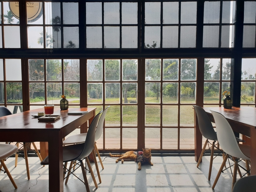 225204.jpg - 【南投.國姓鄉】山間良物咖啡館在地咖啡豆。友善寵物咖啡廳。自種水果入甜點。推重乳酪蛋糕&砂糖橘司康