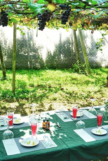 129073563_2561089447524038_5799161669148392692_n