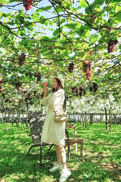 128068416_438051603854719_2747004440162194707_n