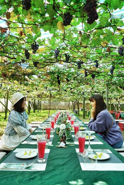 128690059_385993582684792_6808878038888210696_n